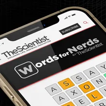 Words for Nerds on the screen of a mobile device